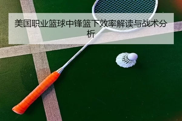 美国职业篮球中锋篮下效率解读与战术分析