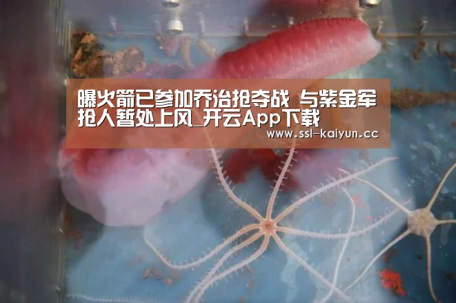 曝火箭已参加乔治抢夺战 与紫金军抢人暂处上风_开云App下载(图3) 开云体育